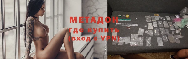 сатива Алзамай